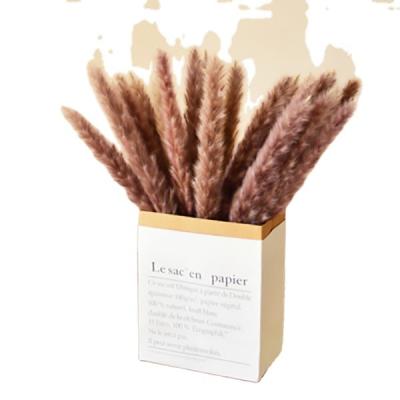 China Wedding and Success Home Free Sample Small Decorative Artificial Dry Pampas Grass Wedding and Dry Pampas Grass for sale