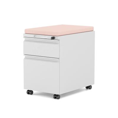 China OEM Support ODM Office Equipment 2 Drawer File Cabinet Stainless Metal Drawer Cabinet With Cushion for sale