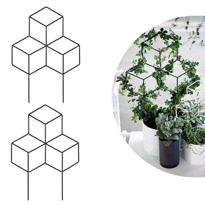 China Amazon Plant Rust Metal Plant Support Frame Plant Stand Black Iron Garden Trellis Liner Decorative Potted Climbing for sale