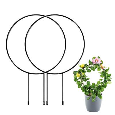 China Metal Amazon Potted Plant Trellis Climbing Rod Stalks Indoor Garden Potted Vines Support Around Trellis Potted Climbing Plants for sale