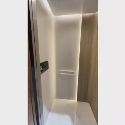 China 220V AC Screw Drive Home Elevator NSK Technology With Automatic Sliding Door for sale