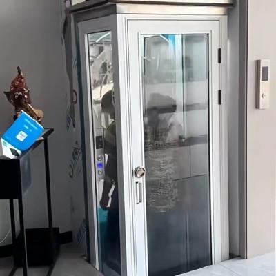 China Economização de espaço Compacto Elevador hidráulico para casa Cabina nua Elevador hidráulico para tarefa leve à venda