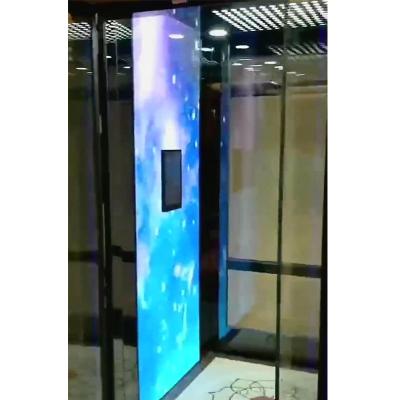 China Luxury Traction Home Elevator Microprocessor Based Gearless House Elevator Lift for sale