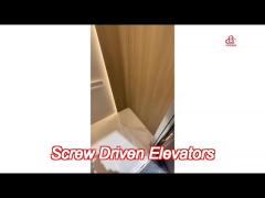 220v ac screw drive home elevator nsk technology with automatic sliding door