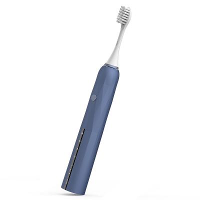 China Automatic Electric Waterproof ABS+ BEYLUN Soundwave Silicone Toothbrush IPX7 Calculus Remover Dental Calculus Tool For Adult for sale