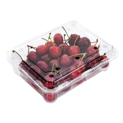 China Recycled Clear Plastic Disposable Transparent Blister Cherry Packaging Boxes Custom Fruit Storage Container Clamshell RPET/PET Materials for sale