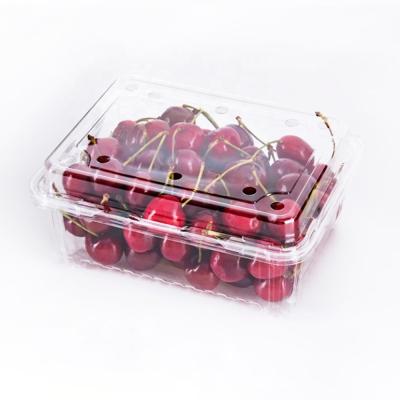 China Recycled Materials Custom Fresh Fruit Packaging Container Clear Plastic Trays Blister Disposable Clamshell Square Cherry RPET/PET Fruit Box for sale