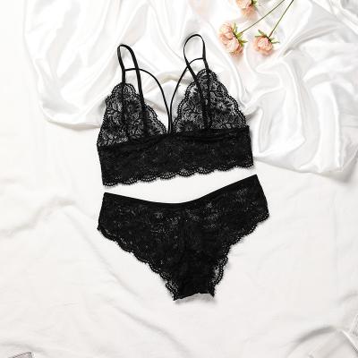 China 2022 new style hot selling sexy QUICK DRY lace bra panties set seamless embroidered transparent bra and brief sets for sale