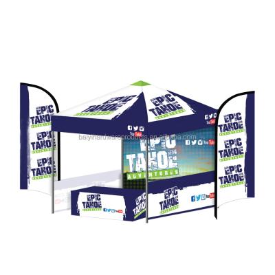 China Health care institute 10x10 advertising logo tent outdoor wholesale tent waterproof tent for sale