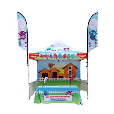 China Health care institute advertising logo 10x10 outdoor family camping tent party tent wedding party tent for sale