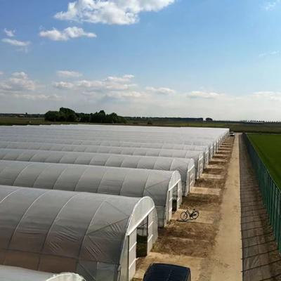 China Greenhouse PE Co-extruded Low Tunnel Film For Agriculture for sale