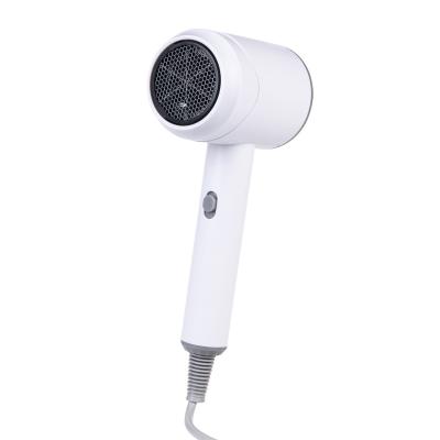 China Ionic Fast Delivery Anion Portable Professional high speed hair dryer Machine for sale