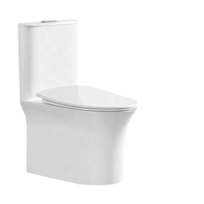 China Hot Selling Luxury High Quality Chinese Double-flow Easy-cleaning Easy-cleaning WC Portable Toilet Space-saving for sale