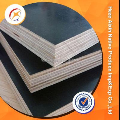 China exterior tego film faced plywood for sale