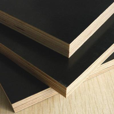 China Factory-direct sales exterior film faced commercial plywood plywood for sale