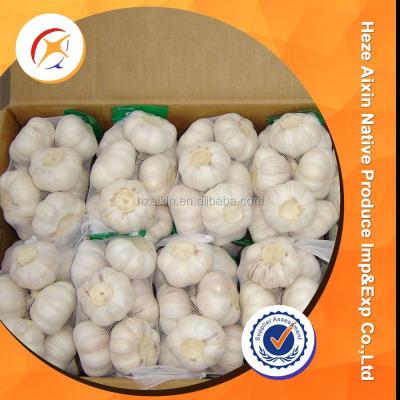 China Dubai Fresh Fresh Garlic Importers for sale