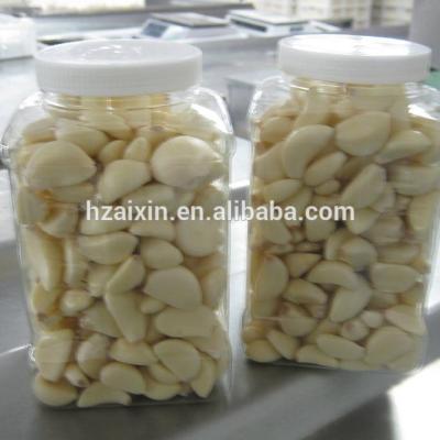 China 2019 fresh fresh peeled garlic crop for sale