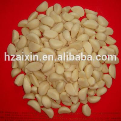 China Fresh fresh peeled garlic cloves for sale