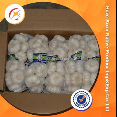 China Fresh snow white fresh garlic for sale for sale