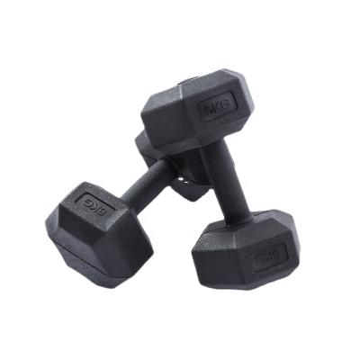 China Home Use Hexagonal Dumbbell 2021 Household Fitness Equipment Plastic Dumbbell for sale