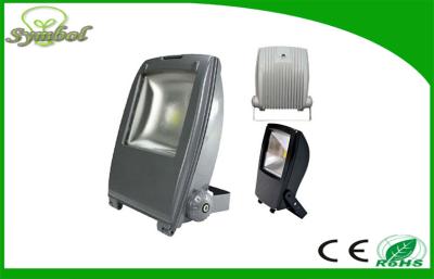 China Backpack 10W RGB Cool White Led Flood Light , IP67 Waterproof led outdoor flood lights for sale