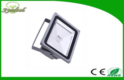 China 30W High Brightness RGB Led Flood Light IP65 3000k AC 24V remote controller for sale