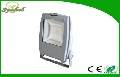 China IP67 Waterproof 30 W RGB Led Flood Light AC 220v With RF Remote Control for sale