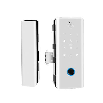 China Newest Design Home Smart Remote Control Slide Glass Electronic Intelligent Door Lock Office Apartments Hotel WIFI System for sale