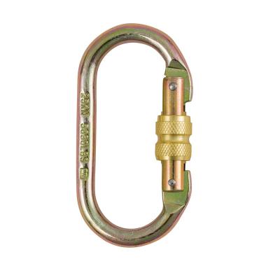 China Fall Arrest Protection Pulley-Carabiner Screw Door Twist Locking For Running Climbing At Height for sale