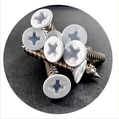 China White Pan Paint Screws And Countersunk Stainless Steel Tapping Screws for sale