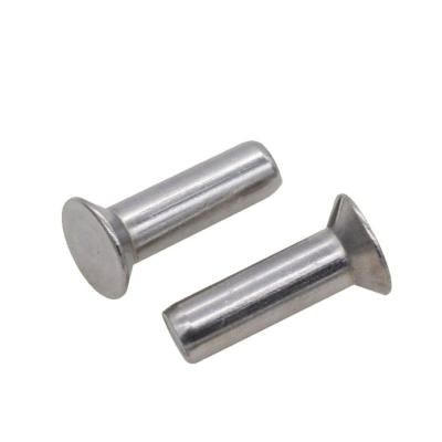 China GB1011 High Quality Stainless Steel Large Flat Head Solid Stainless Steel Rivet for sale