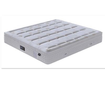 China Xin Yu 5 Luxury Memory Foam Pocket Bed Box Convertible Start Hotel With Vacuum Compressed Packing for sale