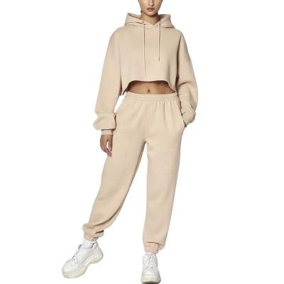 China Custom Clothing Womens Anti-Wrinkle Long Sleeve Cropped Hoodie Jogger Sweatsuit Women 2 Piece Set for sale