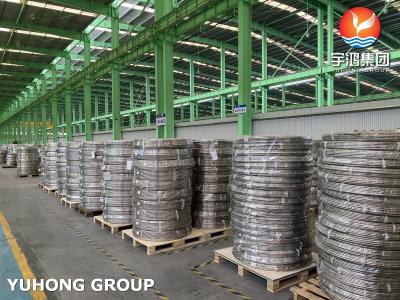 China Stainless Steel Seamless	Bright Annealed Coiled Tube TP304 TP316L for sale