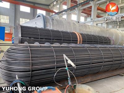 China ASME U Stamped Tube Bundle Assembly with Seamless Heat Exchanger U Bend Tube for sale