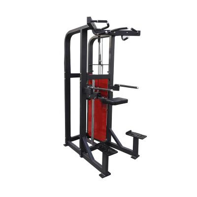 China Universal Multifunctional Parallel Bars Forming Steel Tube Pin Loaded Assisted Chin Dip Machine Home Use Bodybuilding Equipment for sale