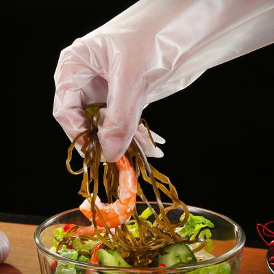 China Restaurant CPE Disposable Glove PE Glove Hygienic Embossed Food Service Disposable Gloves for sale