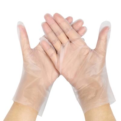 China Good Price Strip Gloves Embossed Disposable CPE Gloves For Food Processing for sale