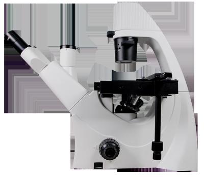 China Phoenix PH-XDS5 Cellular Tissue and Tissue Clear Liquid Portable Advanced Trinocularr Inverted Biological Microscope for Lab for sale