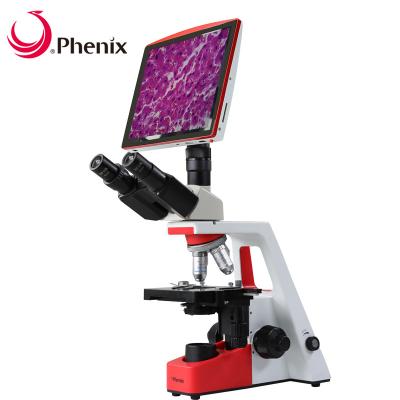 China Phoenix Microscope H236-A LCD Screen Digital Trinocular Biological Microscope 1600x H236-A for sale