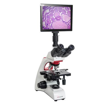 China Metal + Glass Phoenix Trinocular 9.7 Inch Digital LCD Optical Biological Microscope For Clinical Hospital Laboratory for sale