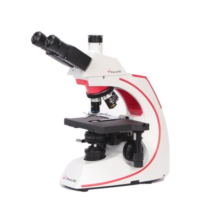 China Metal+Phoenix BMC513-IPL 40X-1600X Professional Tube LED Optical Glass Trinocular Pathology Biological Microscope for Clinic for sale