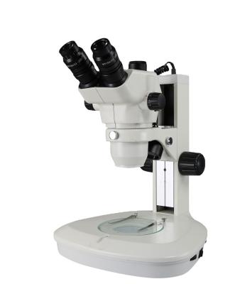 China Continuous Research Phoenix 1:8 Ratio Trinocular Microscope For Phone Repair Microscope for sale