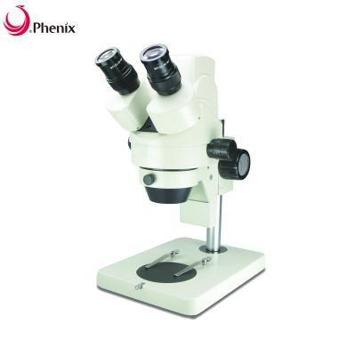 China Phoenix Binocular Digital Microscope XTL-165 Series For Machinery And Electronic Cheap XTL-165-LD500U for sale