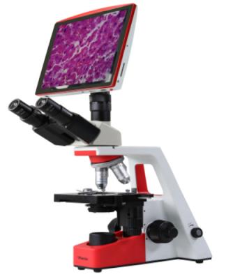 China Phoenix 40x-1600x Magnification WF10x Trinocular Digital Microscope with LCD for Lab & School & Medical Hollow Series for sale