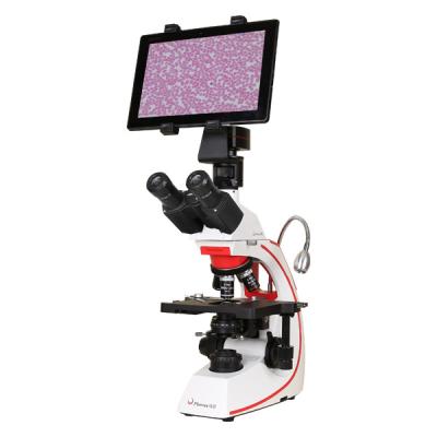 China BMC533-ICCF medical laboratory trinocular microscope with 8mp camera with LCD display BMC533-ICCF for sale