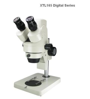 China Phoenix Popular Digital Scanning Electron Microscope XTL-165 XTL-165 Digital Series for sale