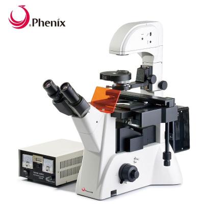 China Phoenix Inverted Fluorescent Microscope 100X-400X with Cheap CCD China Manufacturer PH-YGD for sale