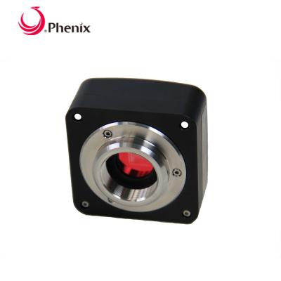 China Android/computer connection Phoenix 5mp pixel microscope usb camera for stereo in china supplier for sale