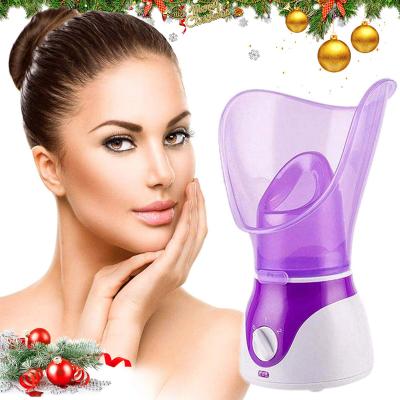 China Travel Hot Professional Personal Face Spray Mist Beauty Instrument Nourishing Nano Humidifier Home Use Ionic Smart Facial Steamer for sale